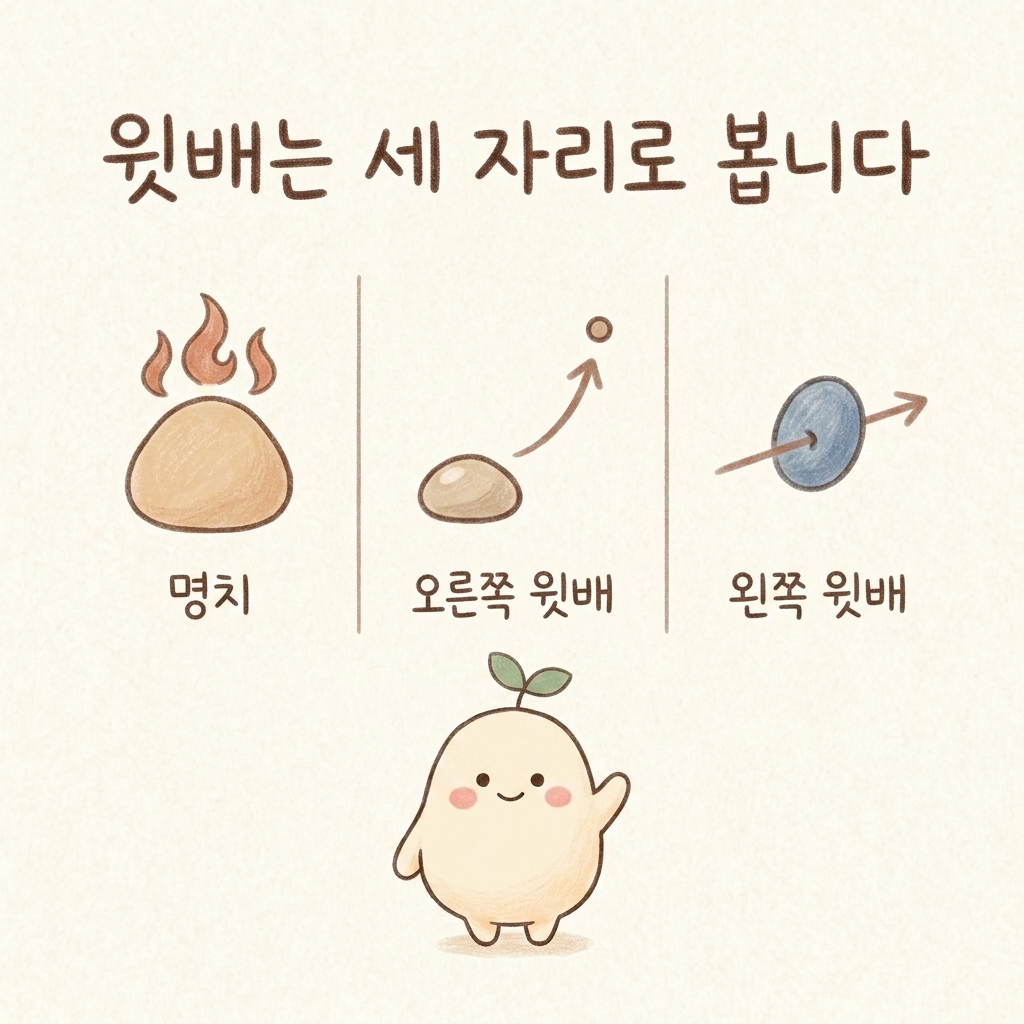 윗배의 세 자리와 각각의 원인을 비교한 손그림 일러스트