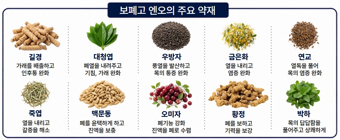 보폐고 엔오의 주요 약재 — 길경, 대청엽, 우방자, 금은화, 연교, 죽엽, 맥문동, 오미자, 황정, 박하
