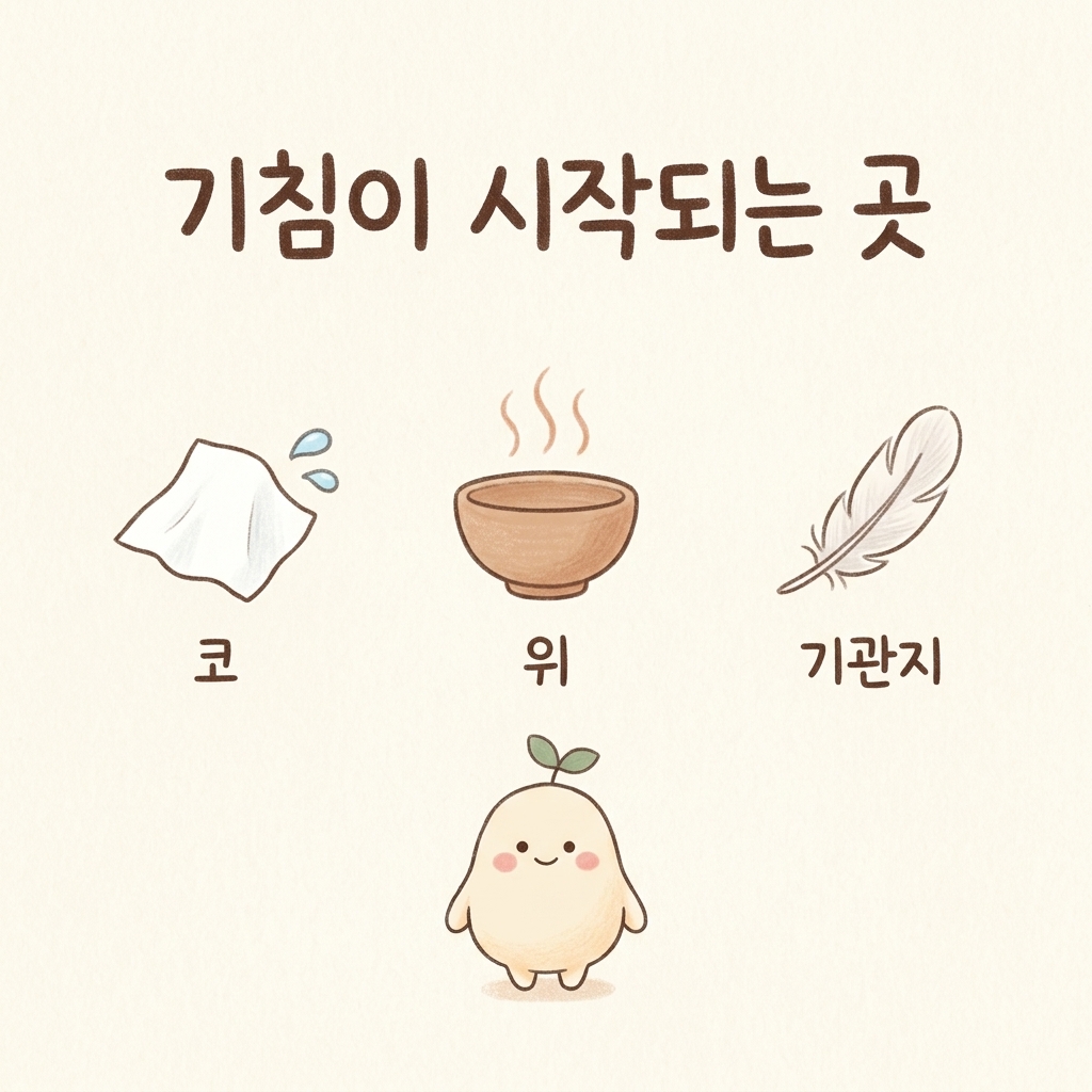 오래가는 기침이 시작되는 코, 위, 기관지 3곳을 그린 손그림 일러스트