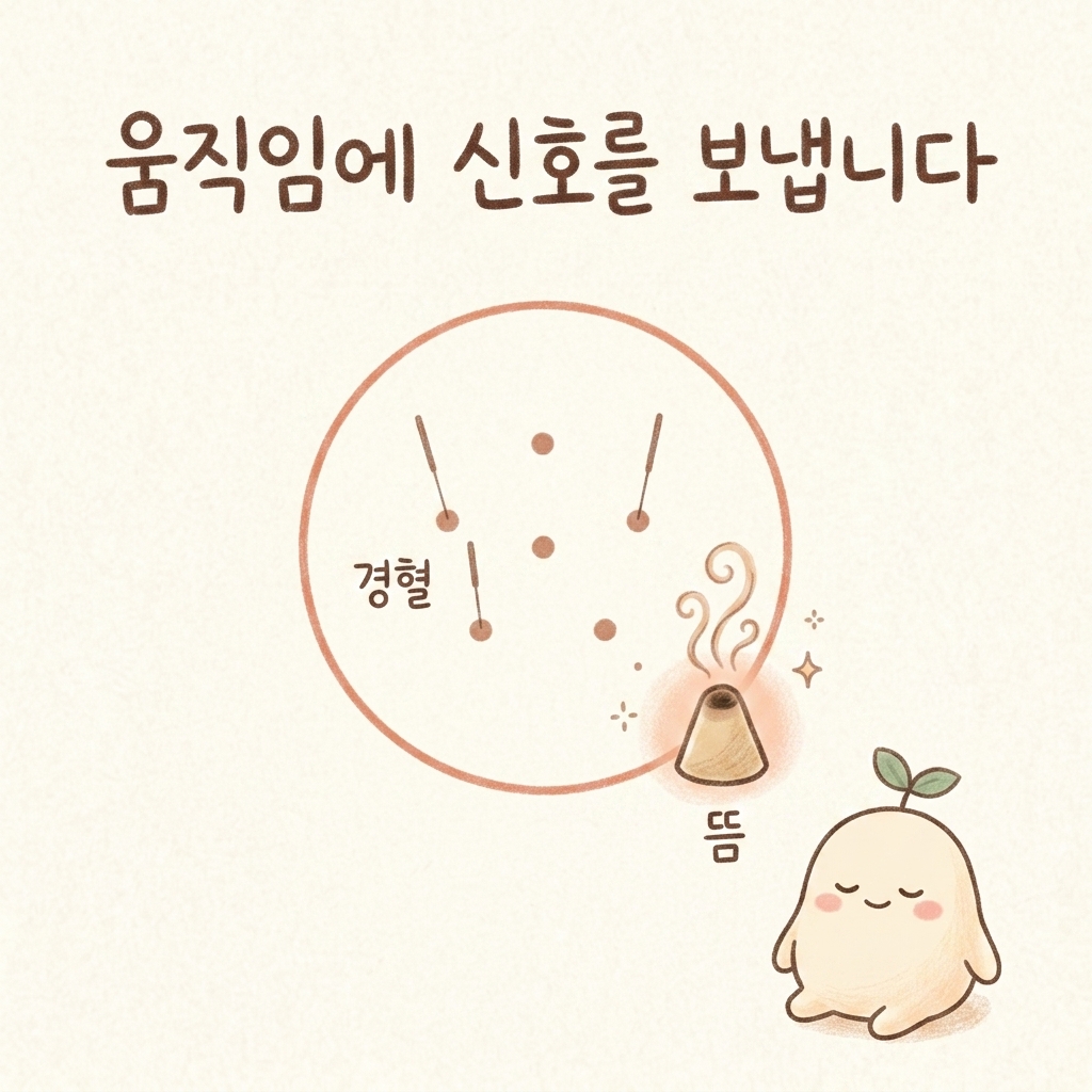변비 치료에 쓰는 침과 뜸을 설명하는 손그림 일러스트