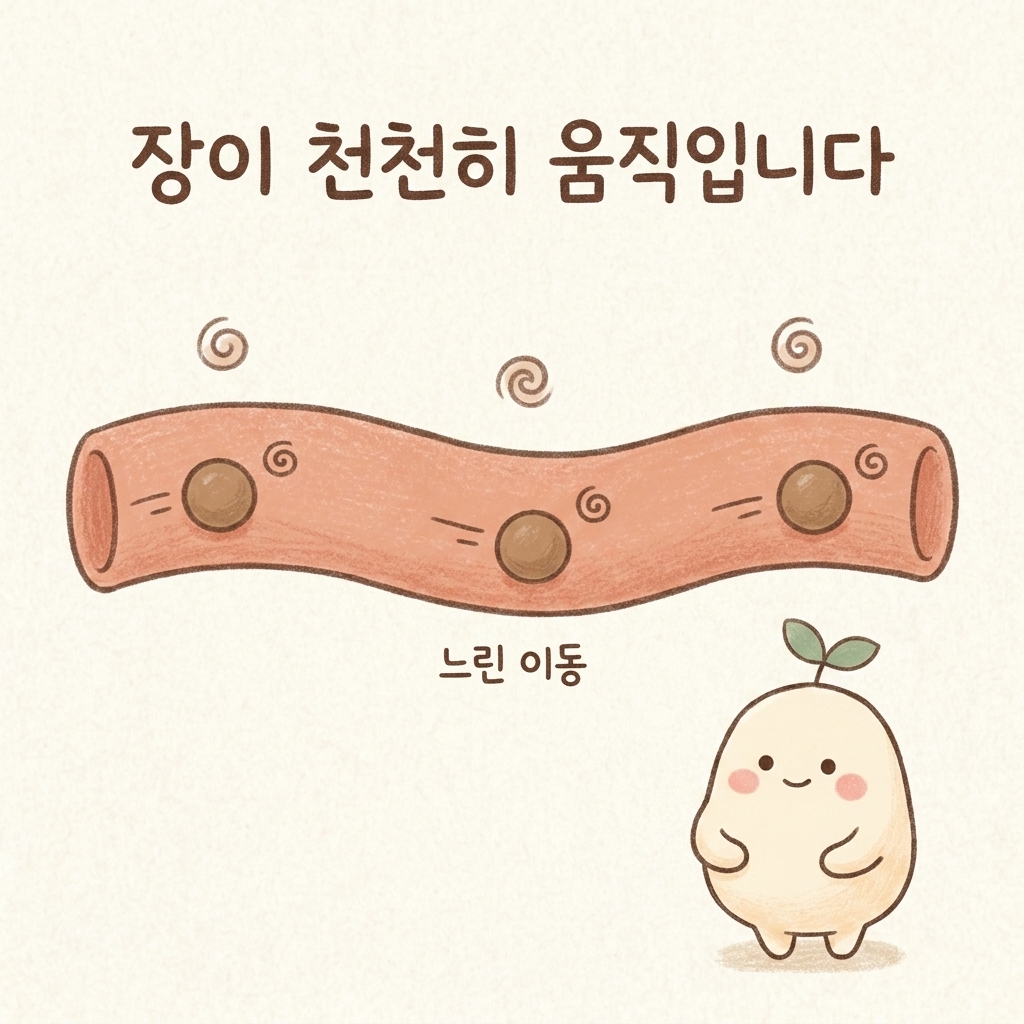 장의 움직임이 느려 내용물이 오래 머무는 모습을 그린 손그림 일러스트