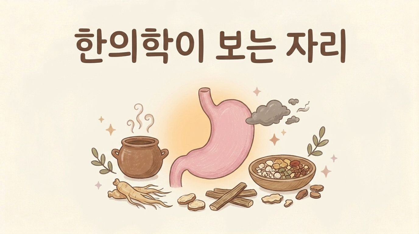 비위의 기운, 기체, 담적을 설명하는 한의학 관점 일러스트