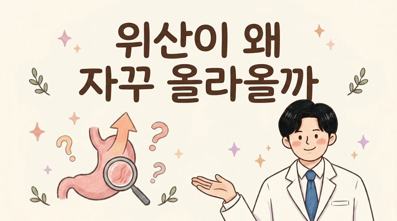 위산이 왜 자꾸 올라올까 — 역류성 식도염의 원인 (양방과 한의학의 시선)