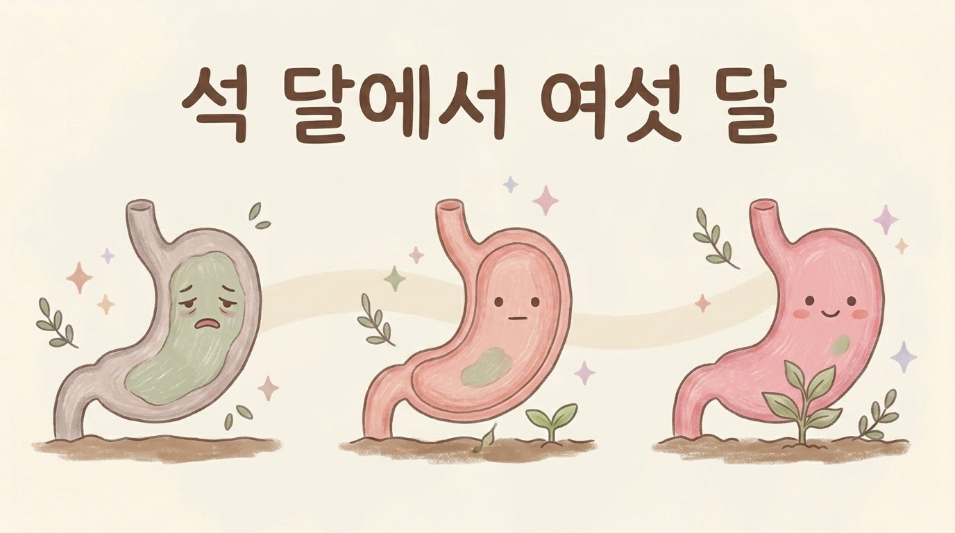 3개월에서 6개월에 걸친 치료 경과를 보여주는 일러스트