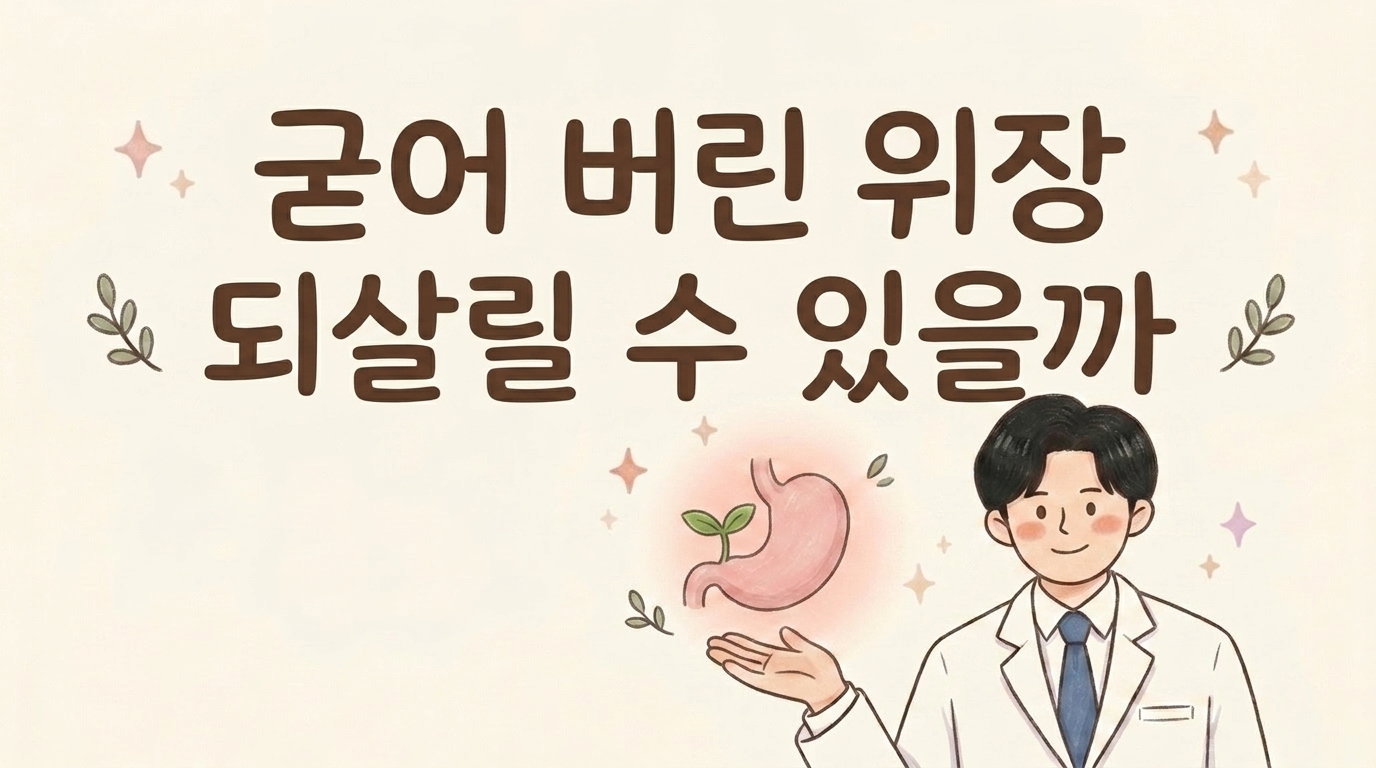 굳어 버린 위장을 되살리는 한방 관리