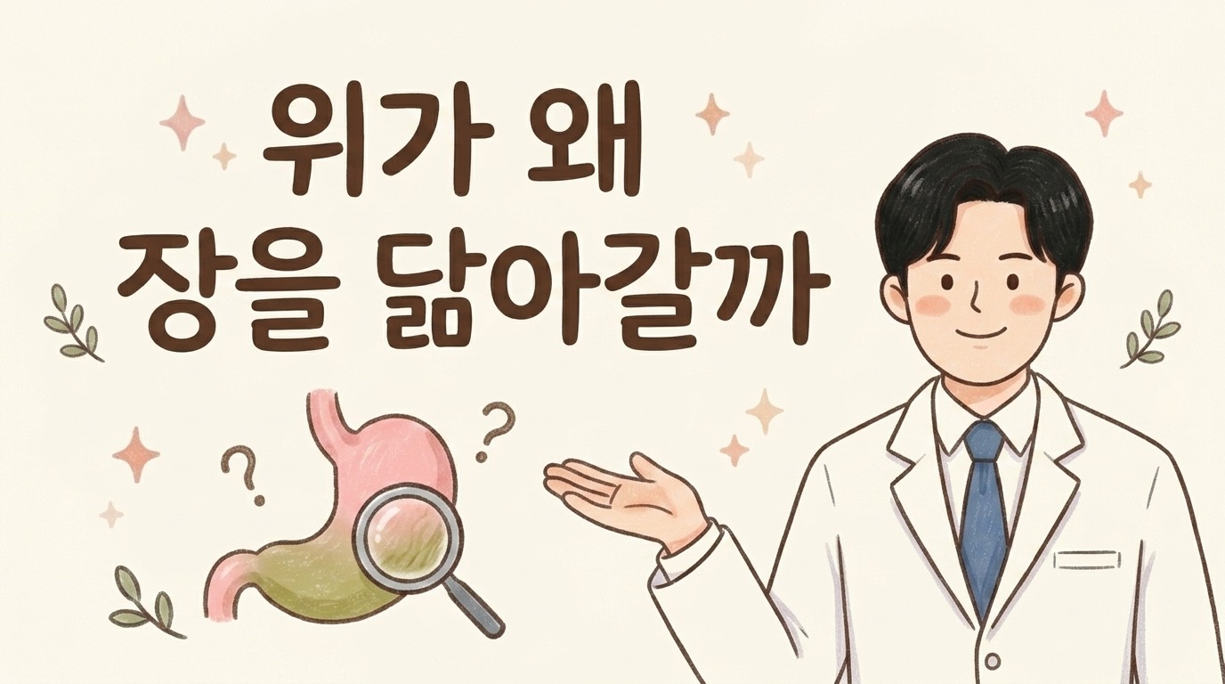 위가 왜 장을 닮아갈까 — 헬리코박터와 오래된 위염 이야기